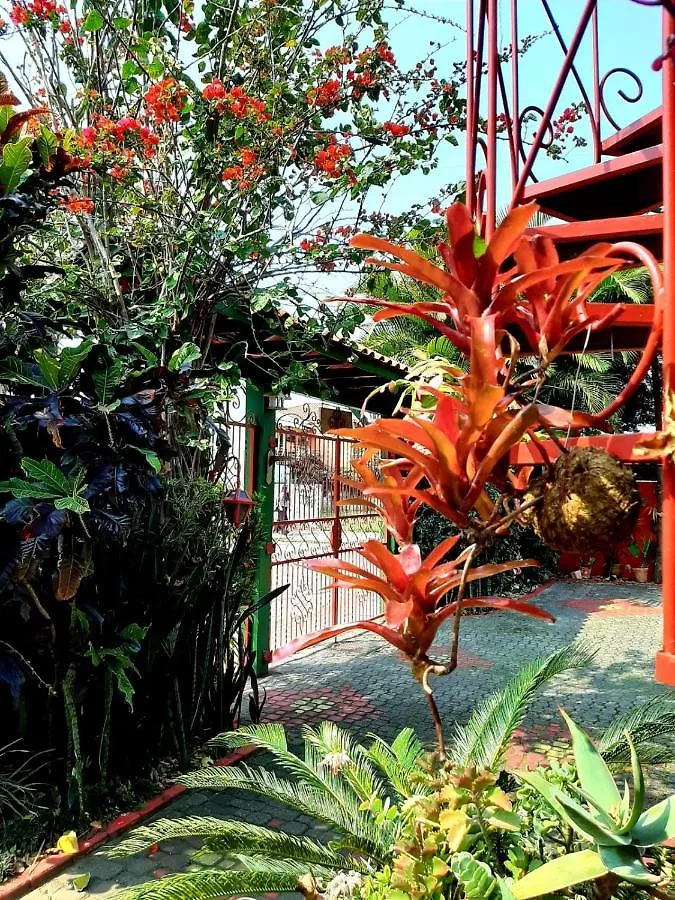 ** Inn Pousada Estrela Do Mar Brazil